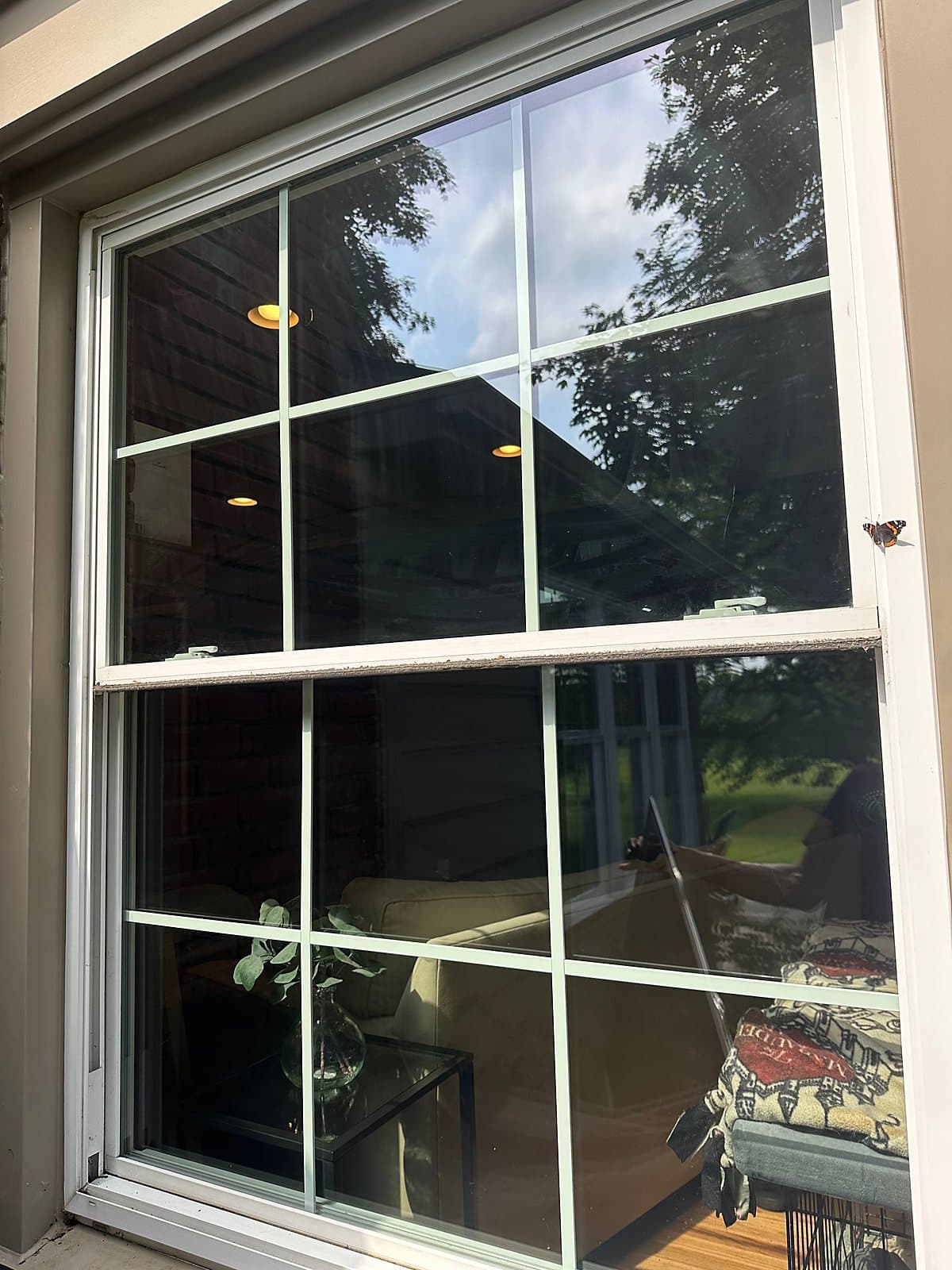 Window Cleaning by Are You Washed in Metro Detroit